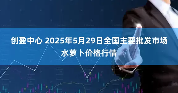 创盈中心 2025年5月29日全国主要批发市场水萝卜价格行情