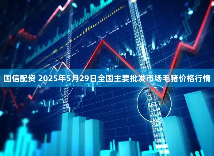 国信配资 2025年5月29日全国主要批发市场毛猪价格行情
