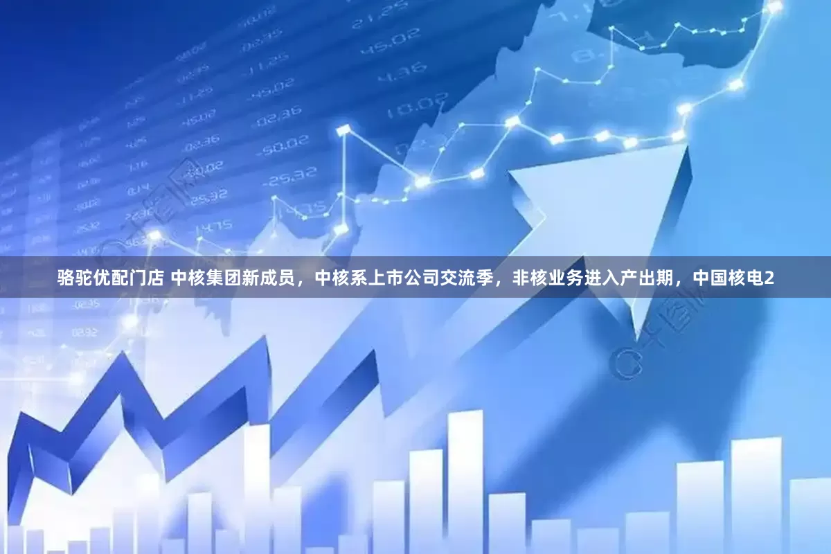 骆驼优配门店 中核集团新成员，中核系上市公司交流季，非核业务进入产出期，中国核电2