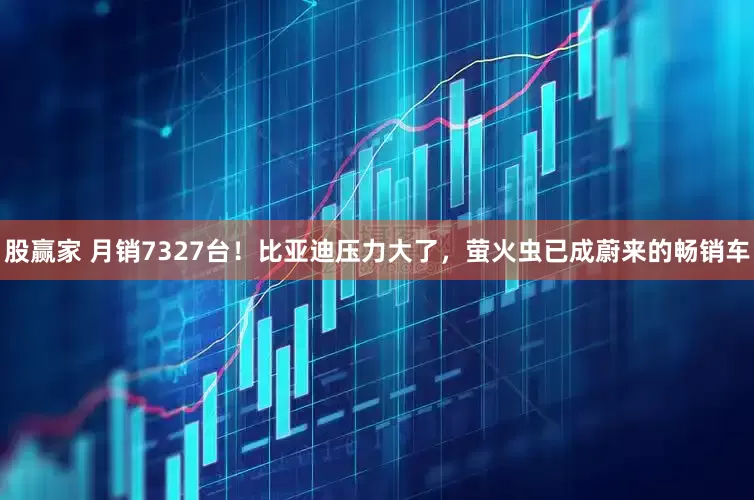 股赢家 月销7327台！比亚迪压力大了，萤火虫已成蔚来的畅销车
